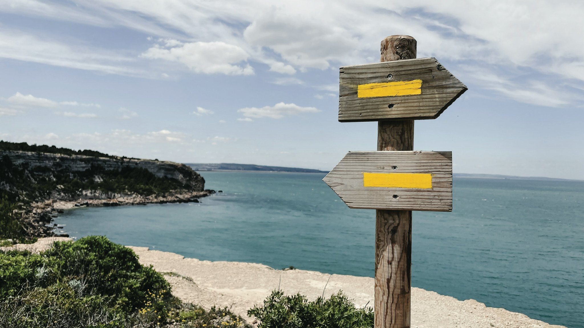 Infographic listing pros and cons of organic snacks vs conventional ones