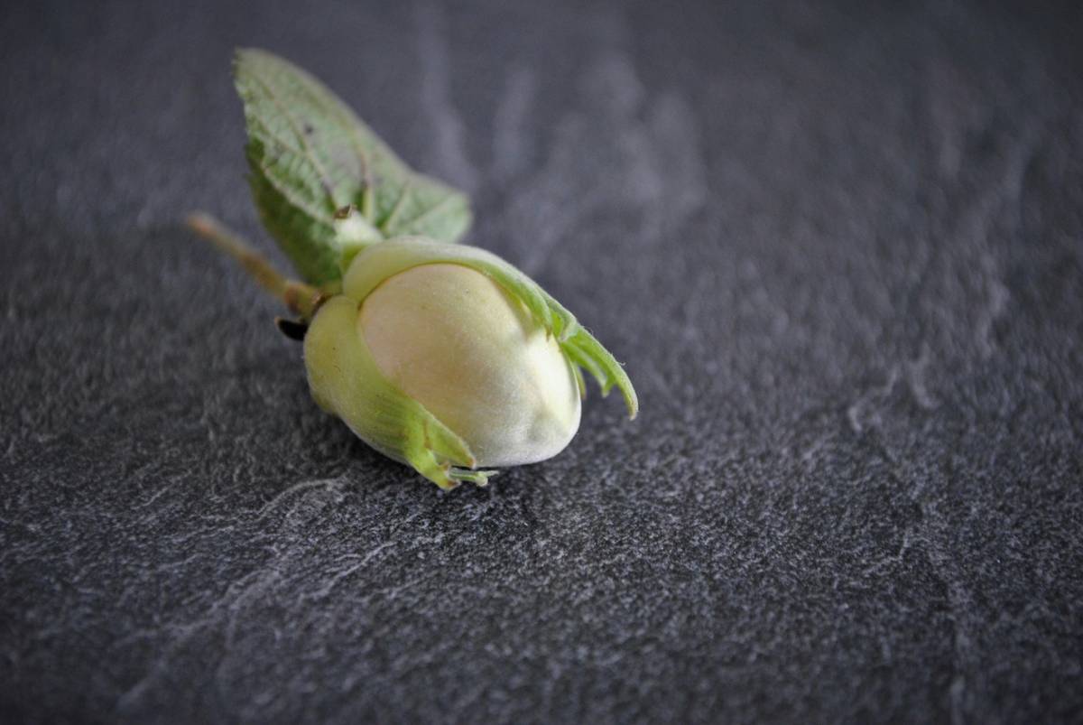 Woman holding fresh fruits and nuts next to a glass jar labeled 'Organic Snack Solutions'