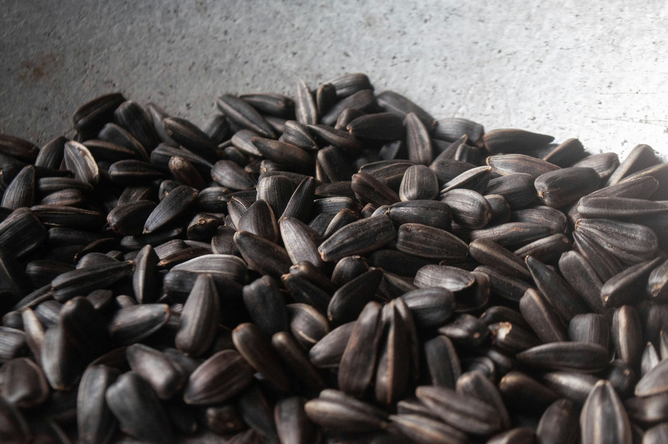 Many whole black sunflower seeds
