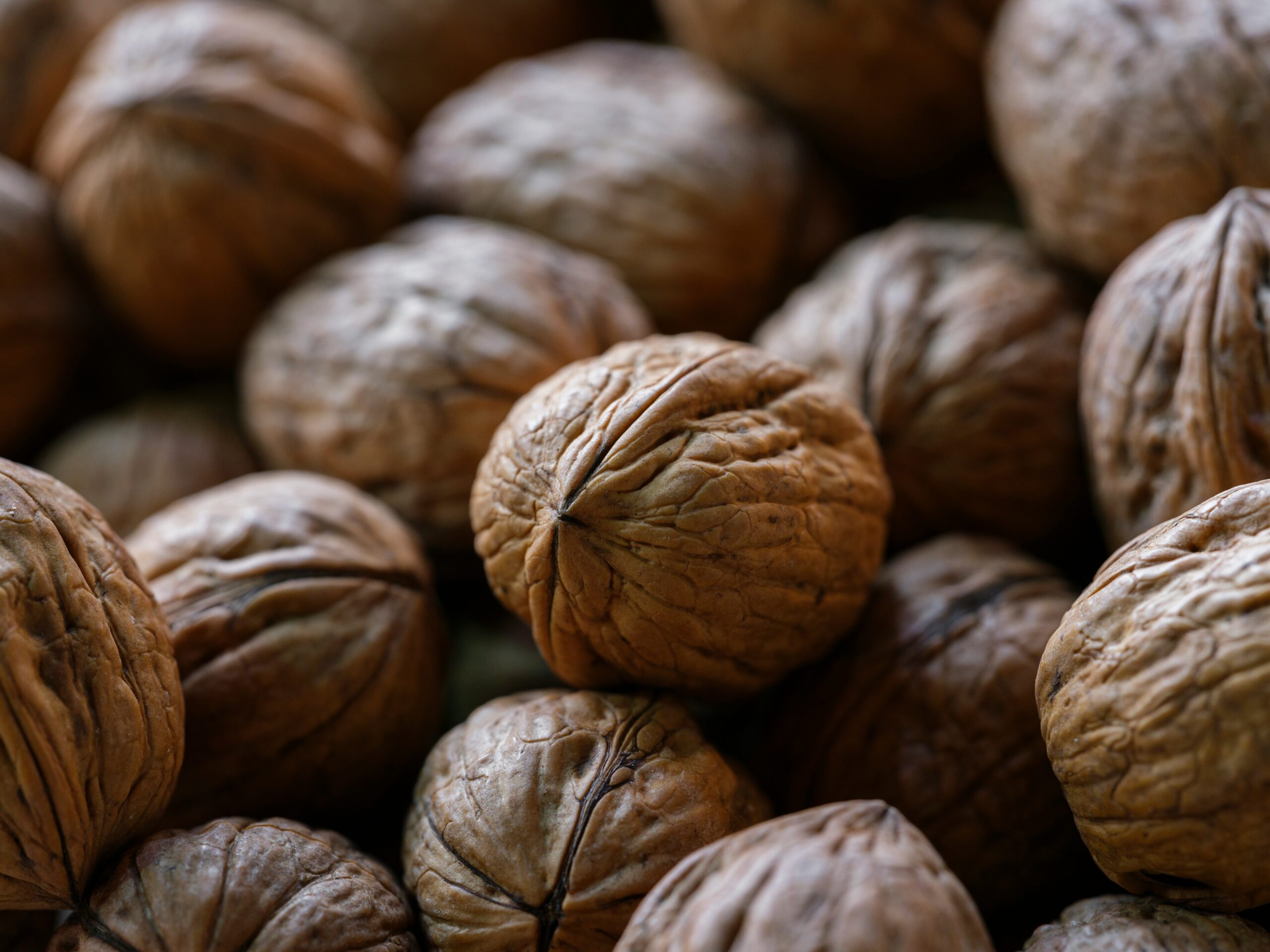 fresh walnuts at the market