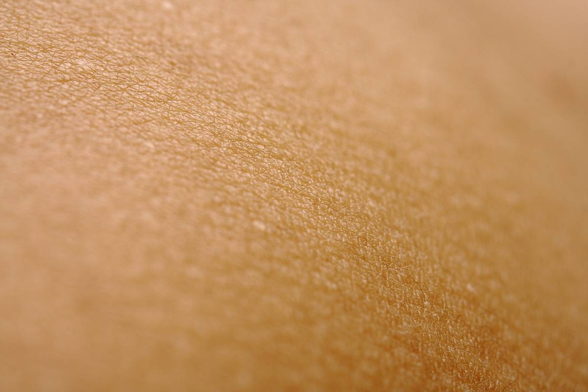 Why Organic Biodynamic Snacks Are the Secret to Glowing Skin (& How to Choose the Right Ones)