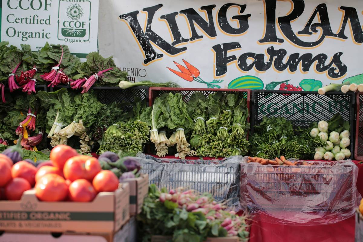 Why "Organic Climate-Friendly Snacks" Are the New Beauty Secret (Yes, Really)