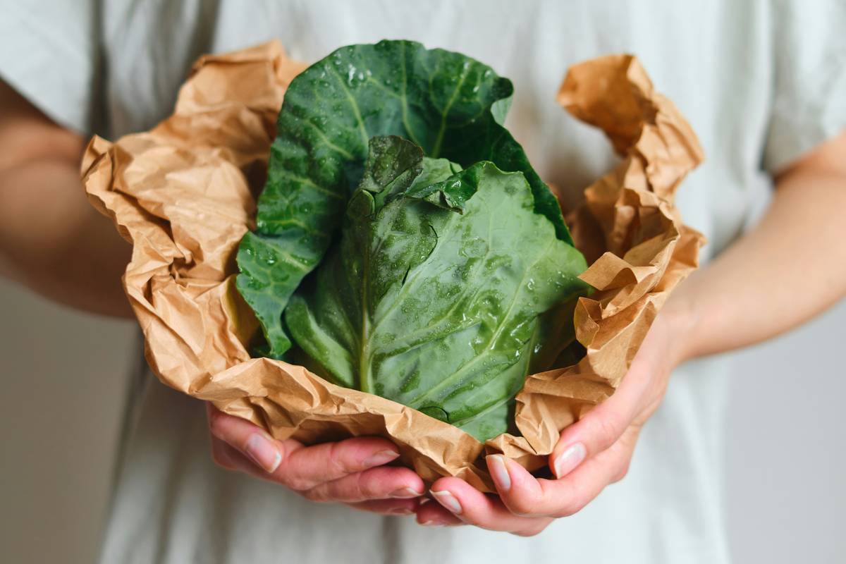 Why Organic Fair-Trade Snacks Are the Ultimate Beauty Boost (Yes, Really)